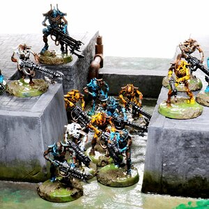 Necron Warriors.JPG