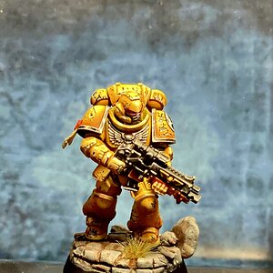 Imperial Fist Marine