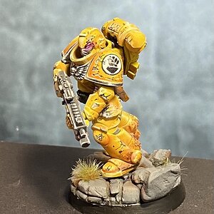 Imperial Fist Marine
