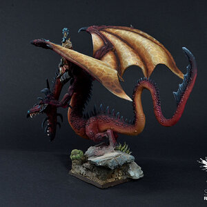 Drache5.JPG