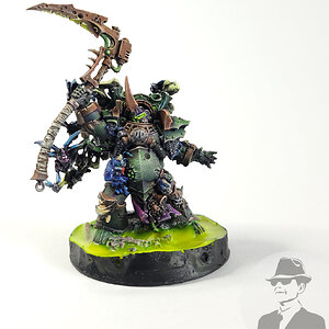 typhus_01.jpg