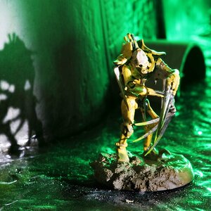 Necron Flayed 1.jpg