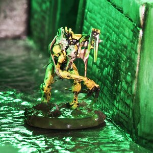 Necron Flayed 4.jpg