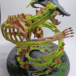 Krondspine 2.jpg