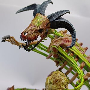 Krondspine 3.jpg