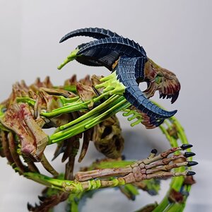 Krondspine 5.jpg