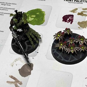 Necrons (bunt).jpg