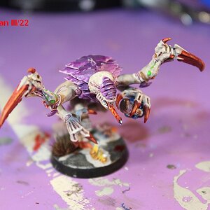 Genestealer GWFW-1.jpg