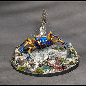 Spinne groß_vorne rechts.jpg