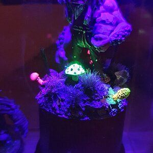 20230117_080235.jpg
