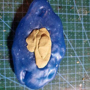 20230129_210311.jpg