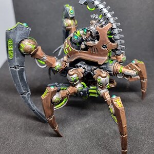 Tri 4.jpg