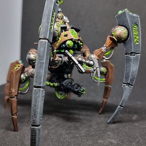 Tri 7.jpg