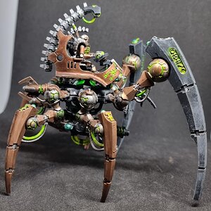 Tri 10.jpg
