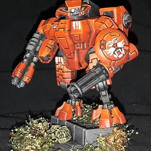 tiger boss.jpg