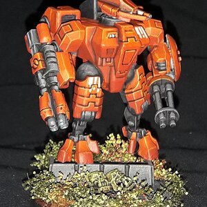 tiger boss (2).jpg