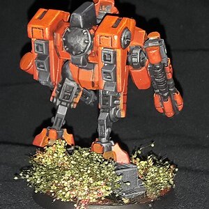 tiger boss (3).jpg