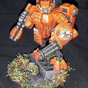 tiger boss (4).jpg