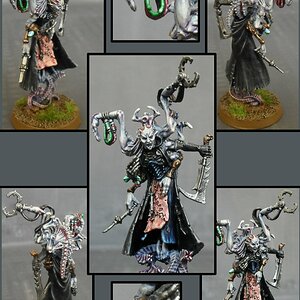 Haemunculus.jpg