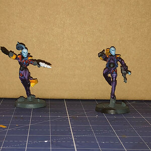 Harlequins03-04 - 05 - edited.jpg