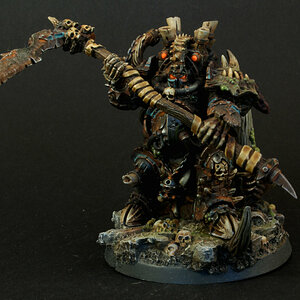 Typhus.jpg