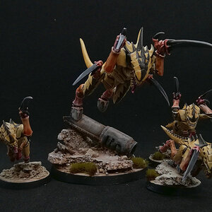 Group Shot.jpg