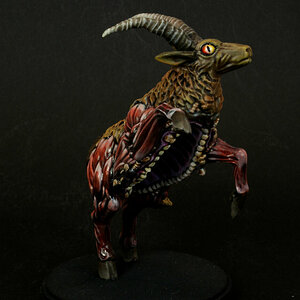 Antilope1.jpg