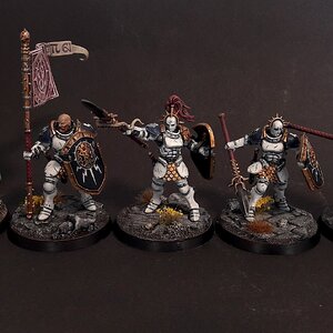 Vindictors