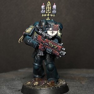 Black Templar Paladin