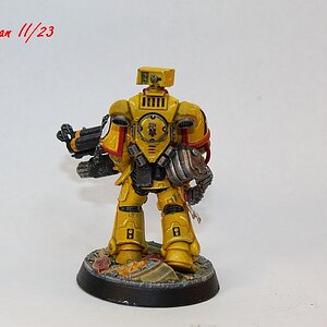 GWFW Primaris hinten.jpg
