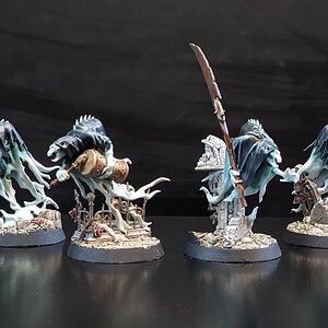 PXL_20230514_151517418~2_nighthaunt_05_2023.jpg
