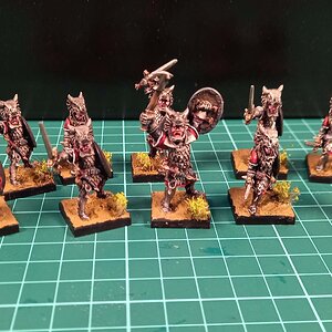 Drachengarde fertig1.jpg