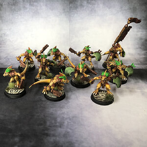 skinks1.jpeg