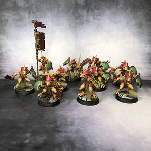 skinks2.jpeg