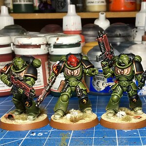 Salamanders
