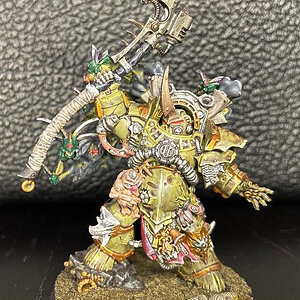 Typhus.jpg