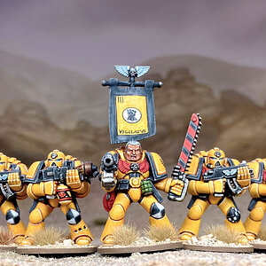 Imperial Fists half-squad