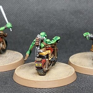 Gobbo Biker Rückansicht