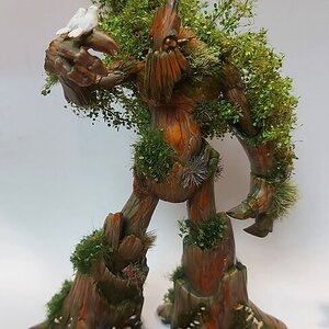 20221024_204320.jpg