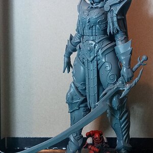 Fulgrine_grey_1.jpg