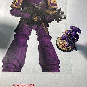 GWFW Hawk Lord Vorbild.jpg