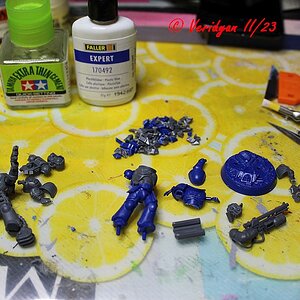 GWFW Dorn beide fixed.jpg