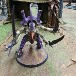 Tyraniden