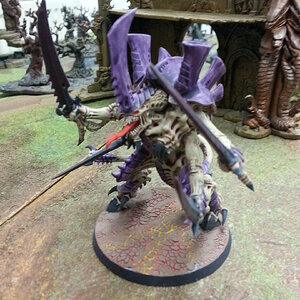 Tyraniden