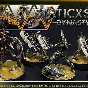 2 STATICXS DYNASTIE