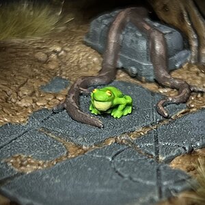 IMG_3171.jpeg
