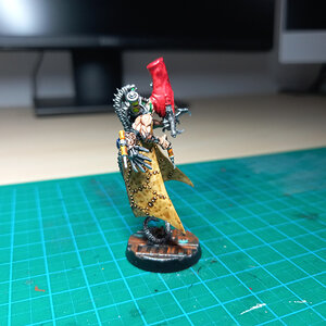 rogue doc (6).jpg