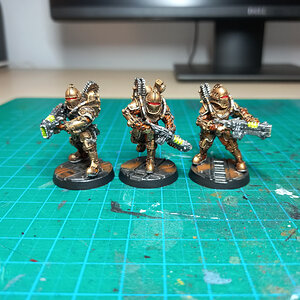 Solar Auxilia Trooper (1).jpg