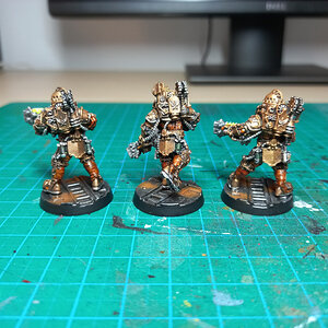 Solar Auxilia Trooper (2).jpg