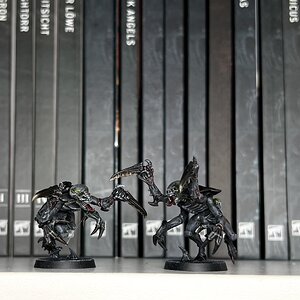 IMG_3163.jpeg